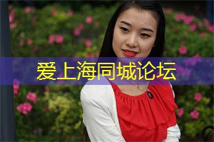 世界桥牌比赛视频